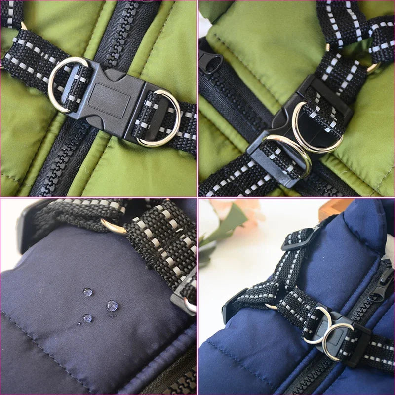 Coat with Harness