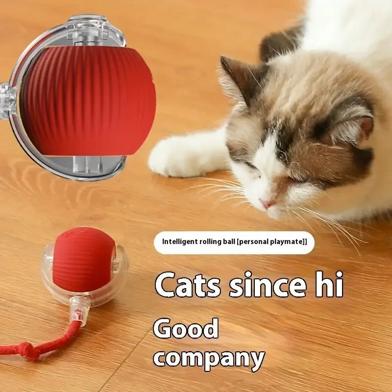 Electric Ball for Cats