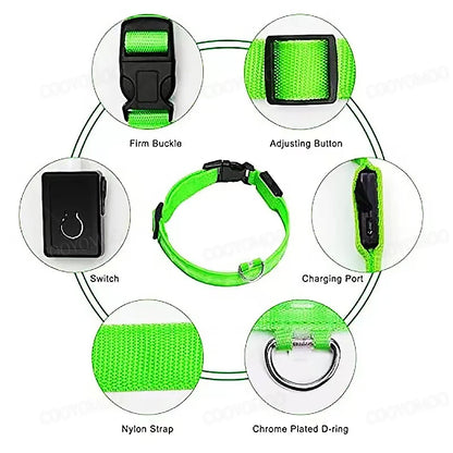 Pet collar that glows in the dark