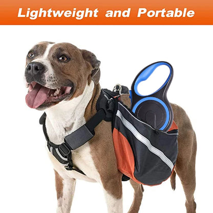 Portable Leash Extender