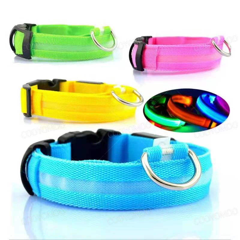 Pet collar that glows in the dark