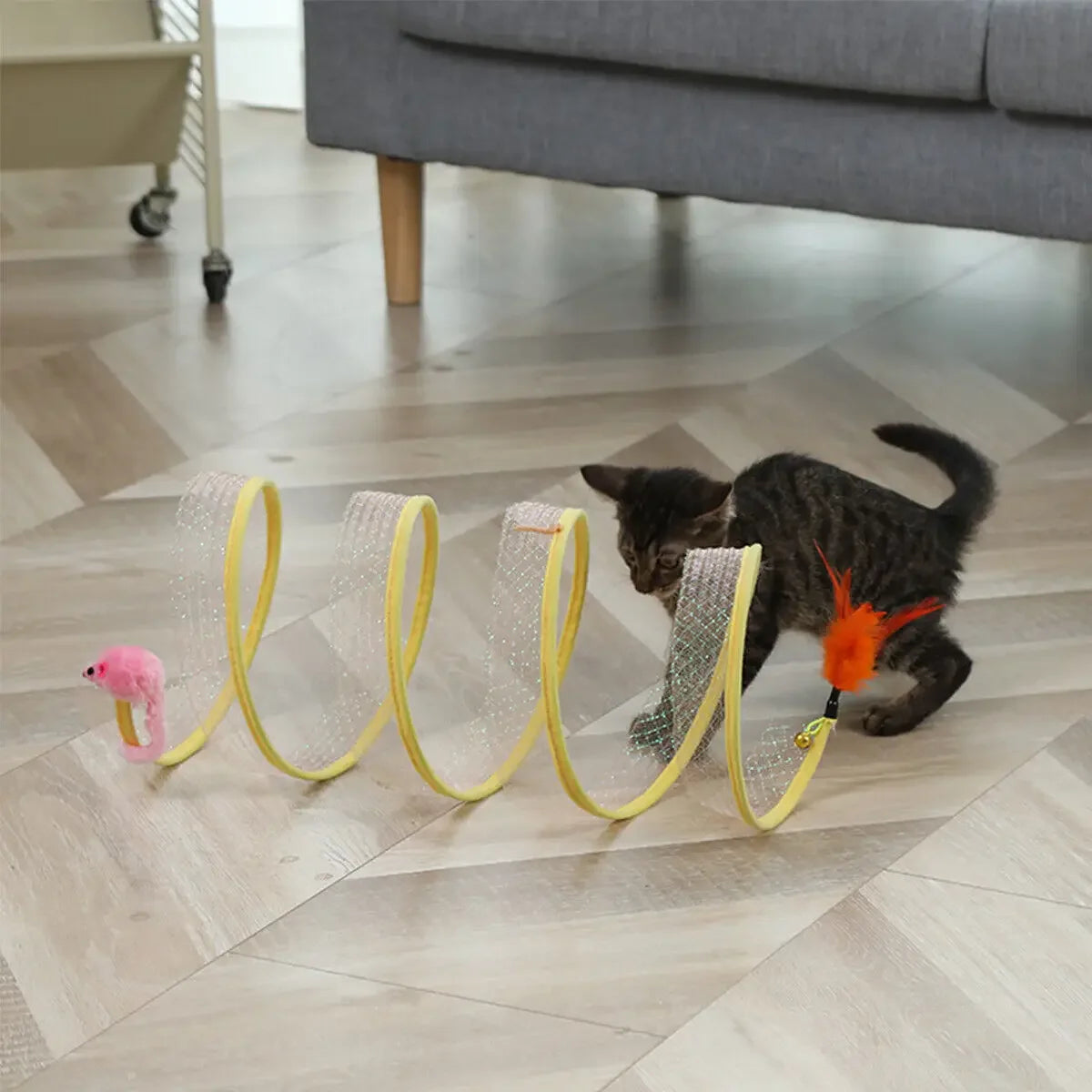 Cat Spring Toy