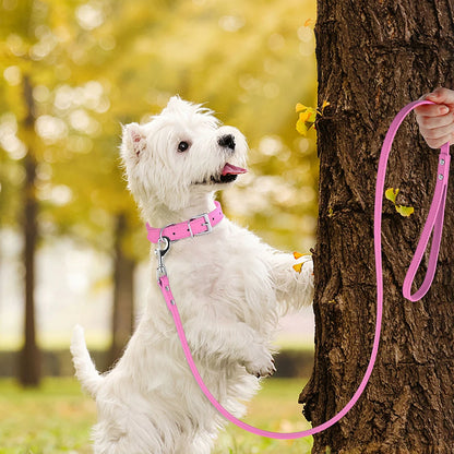 Leash Extender