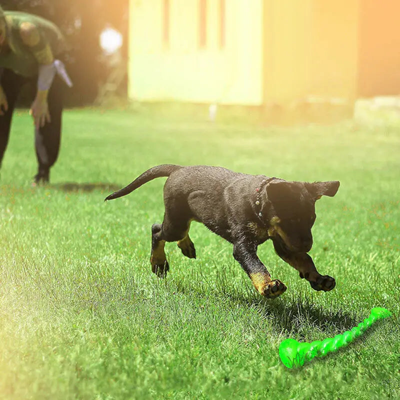 Rubber Stick Toy