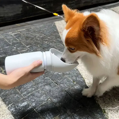 Foldable Water Bottle