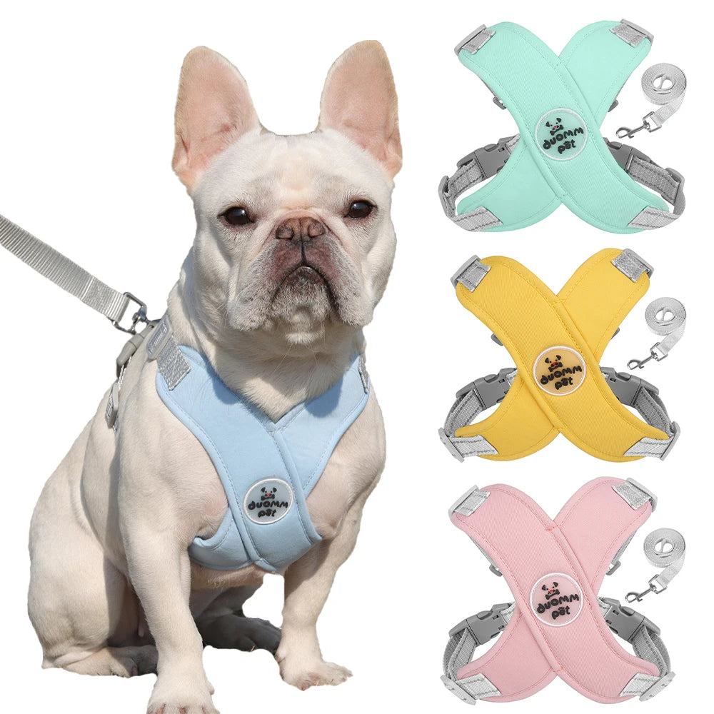 X-Shaped Harness