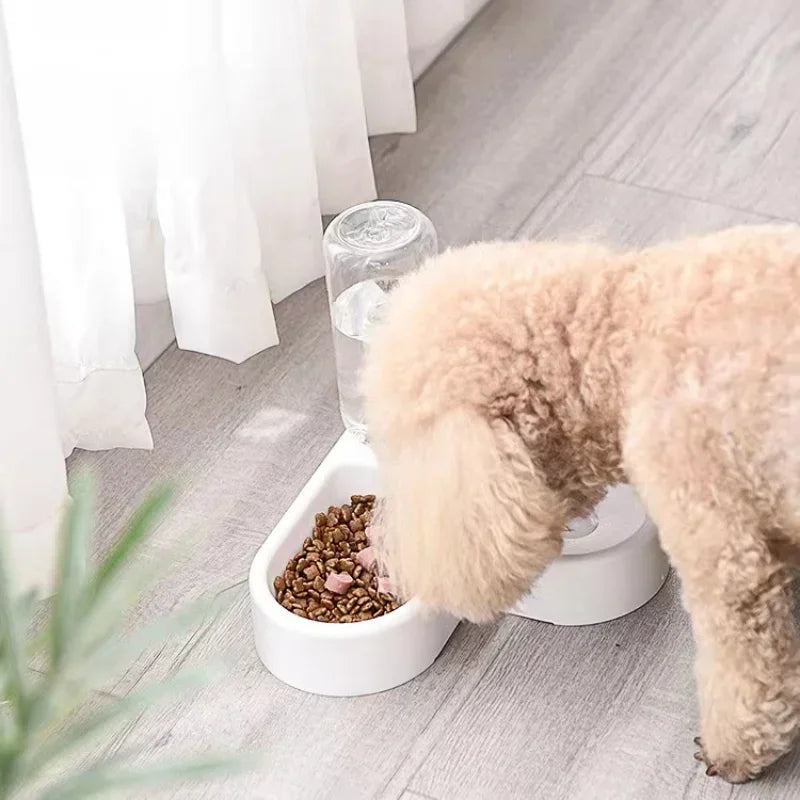 Double Bowl with Water Bottle