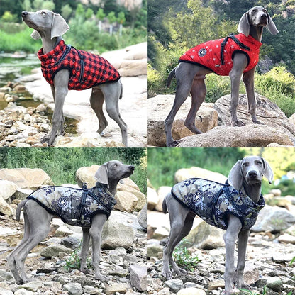 Coat with Harness