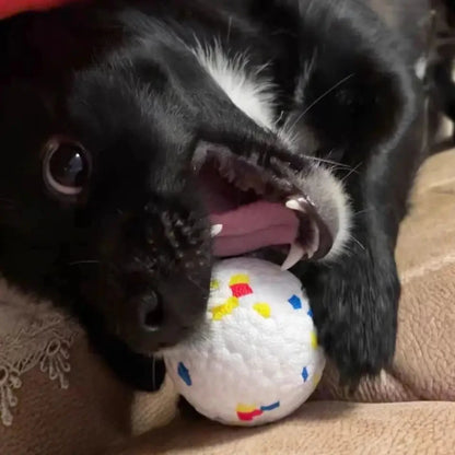 Dog Chew Ball