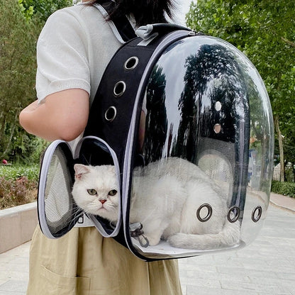 Pet Backpack