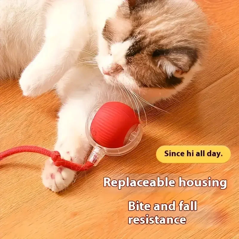 Electric Ball for Cats