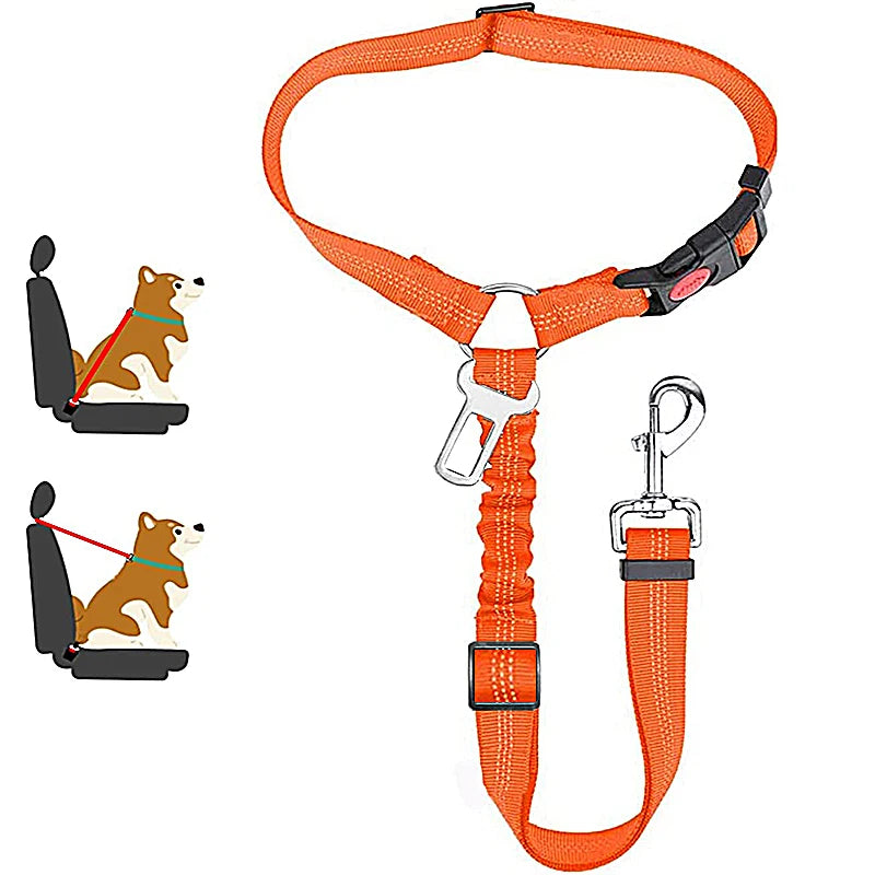 Dog Seat Belt