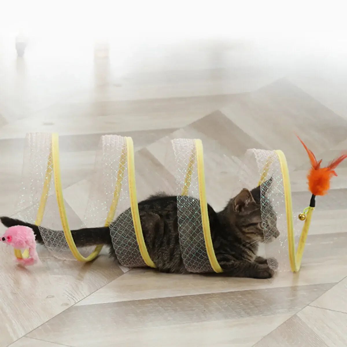 Cat Spring Toy