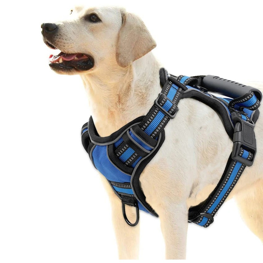 Harness With Handle