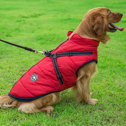 Coat with Harness