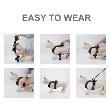 Harness With Handle