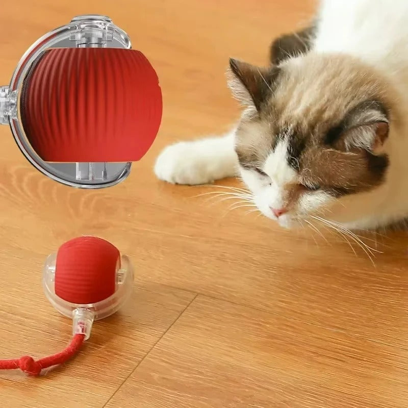 Electric Ball for Cats