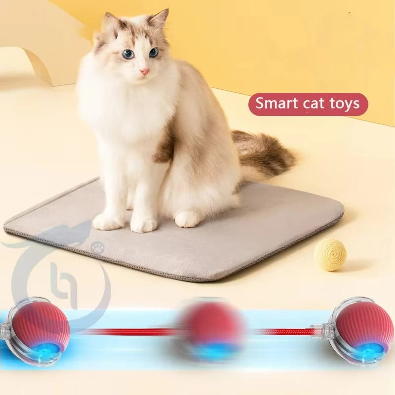 Electric Ball for Cats